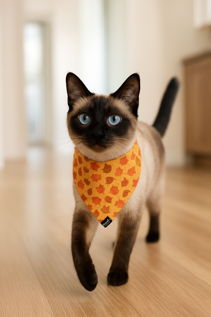 Fall print pet bandana
