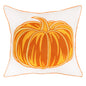Embroidered Pillow Cover