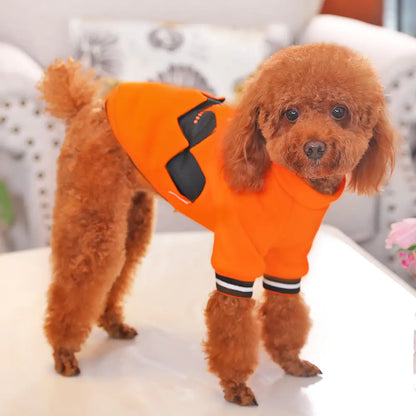 Pumpkin Hoodie for Small Pets